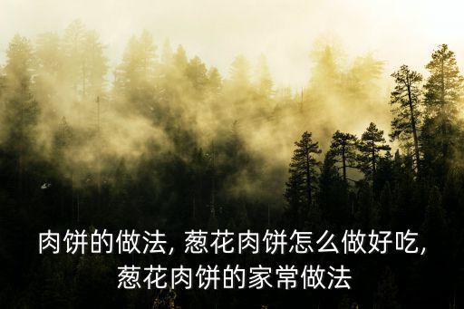 肉餅的做法, 蔥花肉餅怎么做好吃, 蔥花肉餅的家常做法