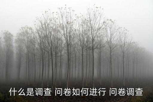什么是調(diào)查 問卷如何進(jìn)行 問卷調(diào)查