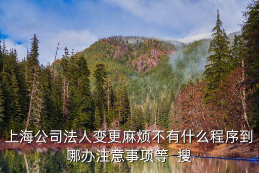 上海法人變更，上海公司法人變更麻煩不有什么程序到哪辦注意事項等  搜