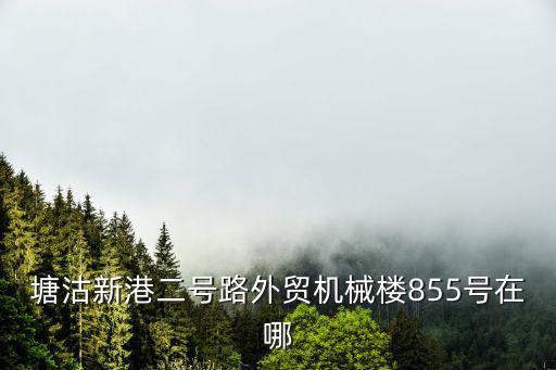 塘沽新港二號路外貿機械樓855號在哪