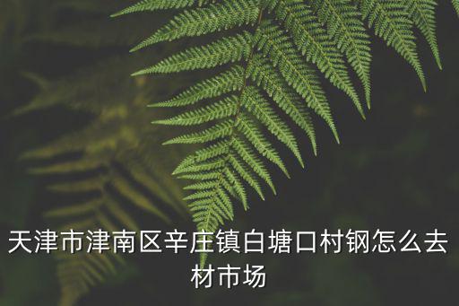 天津市津南區(qū)辛莊鎮(zhèn)白塘口村鋼怎么去材市場