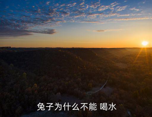  兔子為什么不能 喝水