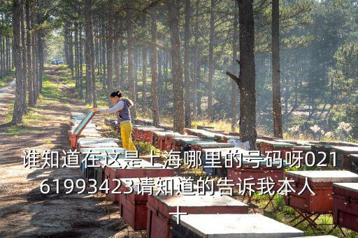誰知道在這是上海哪里的號碼呀02161993423請知道的告訴我本人十