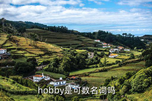  hobby是可數名詞嗎