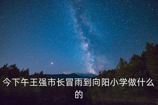 今下午王強市長冒雨到向陽小學做什么的