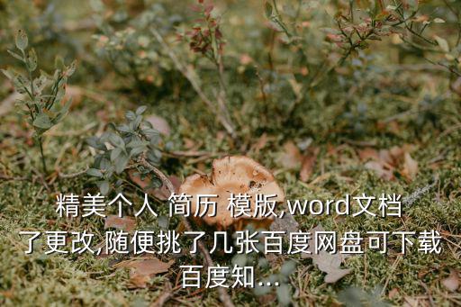 精美個人 簡歷 模版,word文檔了更改,隨便挑了幾張百度網盤可下載百度知...