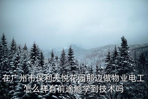 在廣州市保利天悅花園那邊做物業電工怎么樣有前途能學到技術嗎