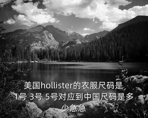 美國(guó)hollister的衣服尺碼是1號(hào) 3號(hào) 5號(hào)對(duì)應(yīng)到中國(guó)尺碼是多少急急