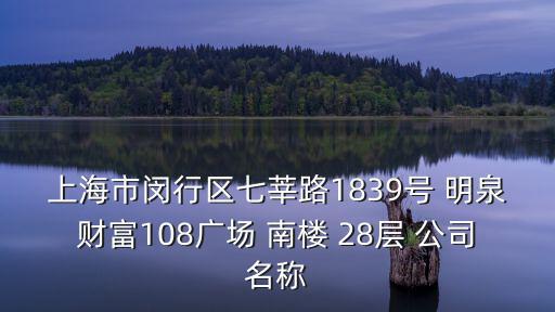 上海市閔行區七莘路1839號 明泉財富108廣場 南樓 28層 公司名稱