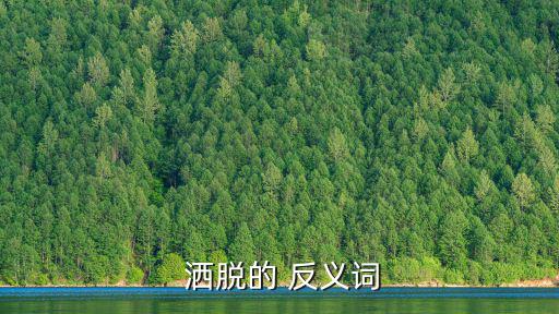  灑脫的 反義詞