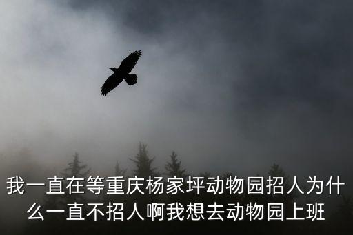 我一直在等重慶楊家坪動物園招人為什么一直不招人啊我想去動物園上班
