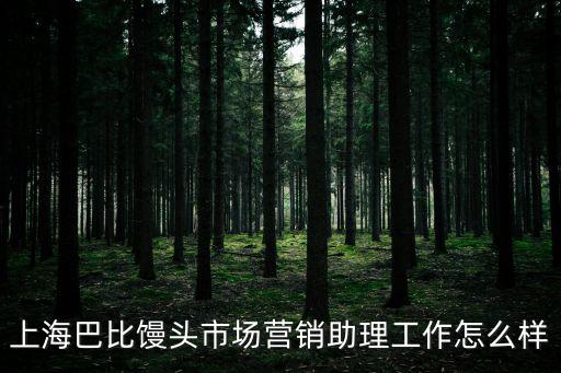 上海巴比饅頭市場營銷助理工作怎么樣
