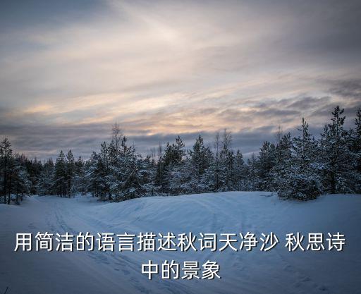 風景石頭畫簡單的秋天，用簡潔的語言描述秋詞天凈沙 秋思詩中的景象