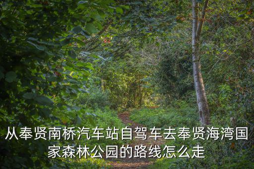 從奉賢南橋汽車站自駕車去奉賢海灣國家森林公園的路線怎么走