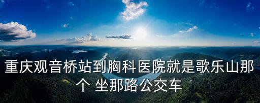 重慶市胸科醫院歌樂山院區，重慶觀音橋站到胸科醫院就是歌樂山那個 坐那路公交車