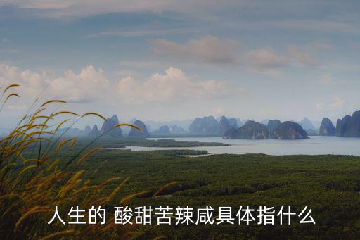 人生酸甜苦辣,人生如一道菜五味雜陳酸甜苦辣咸