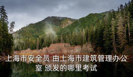 上海市專職安全員考試采用機(jī)考了嗎，上海考的安全員證書遺失了怎么辦