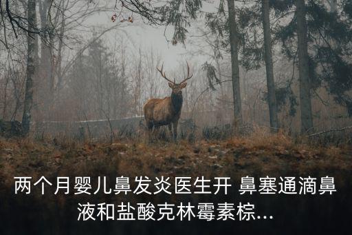 兩個月嬰兒鼻發(fā)炎醫(yī)生開 鼻塞通滴鼻液和鹽酸克林霉素棕...