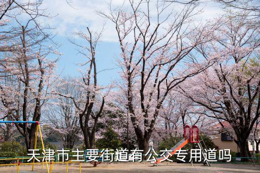天津市主要街道有公交專用道嗎