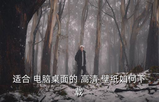 適合 電腦桌面的 高清 壁紙如何下載