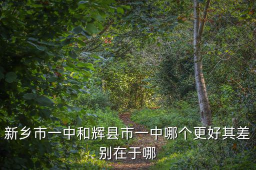 輝縣一中教師，新鄉市一中和輝縣市一中哪個更好其差別在于哪