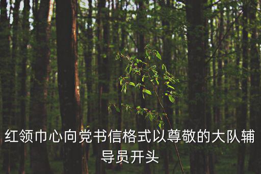 紅領巾心向黨書信格式以尊敬的大隊輔導員開頭