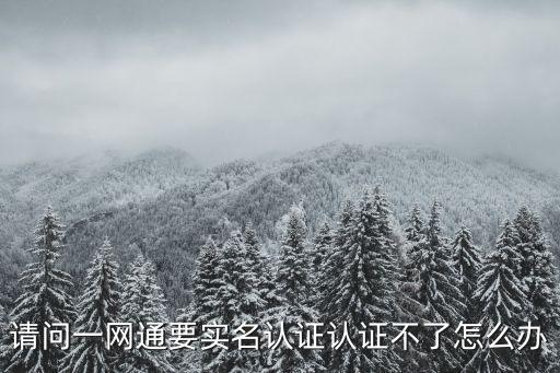 請(qǐng)問(wèn)一網(wǎng)通要實(shí)名認(rèn)證認(rèn)證不了怎么辦