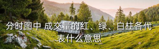 分時圖中 成交量的紅、綠、白柱各代表什么意思