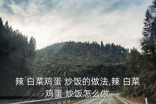 辣 白菜雞蛋 炒飯的做法,辣 白菜雞蛋 炒飯怎么做