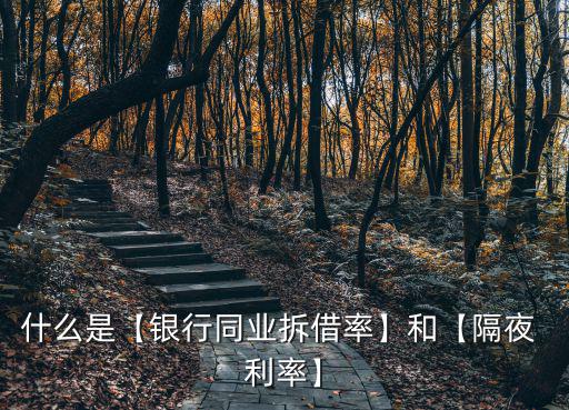 隔夜利率,同業(yè)拆借利率短期化