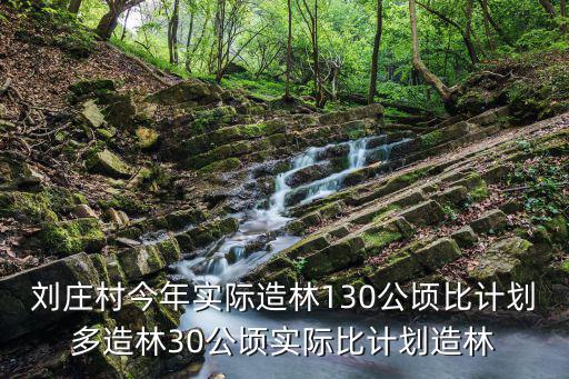 劉莊村今年實(shí)際造林130公頃比計(jì)劃多造林30公頃實(shí)際比計(jì)劃造林
