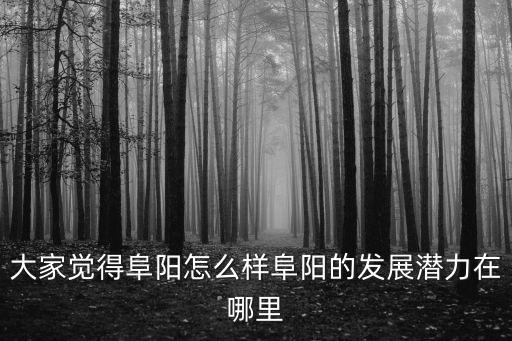 大家覺得阜陽怎么樣阜陽的發展潛力在哪里
