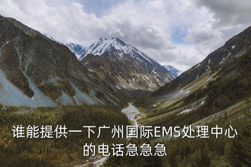 廣州ems國際快遞口罩，從廣州到尼日利亞的EMS價格是多少啊怎么算 可以打折嗎