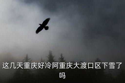 這幾天重慶好冷阿重慶大渡口區下雪了嗎