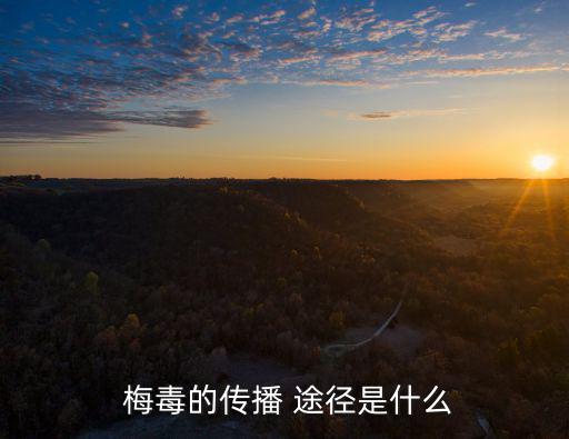 梅毒的傳播 途徑是什么