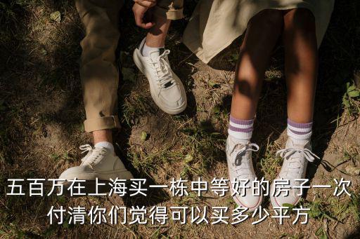 五百萬在上海買一棟中等好的房子一次付清你們覺得可以買多少平方