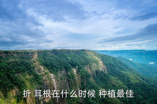 折耳根怎么種植,耳根的種植方法