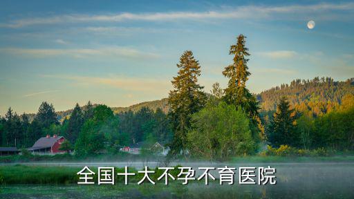 全國十大不孕不育醫(yī)院
