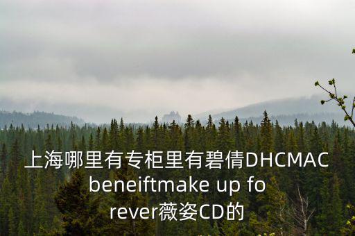 上海哪里有專柜里有碧倩DHCMACbeneiftmake up forever薇姿CD的