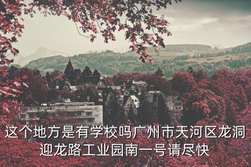 這個地方是有學校嗎廣州市天河區龍洞迎龍路工業園南一號請盡快