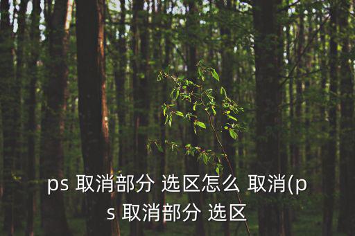 ps 取消部分 選區(qū)怎么 取消(ps 取消部分 選區(qū)