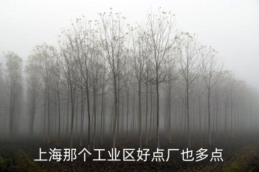 上海工業(yè)園區(qū)排名，上海最大的工業(yè)園區(qū)是那個(gè)