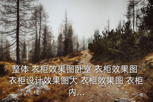 整體 衣柜效果圖臥室 衣柜效果圖 衣柜設計效果圖大 衣柜效果圖 衣柜內...