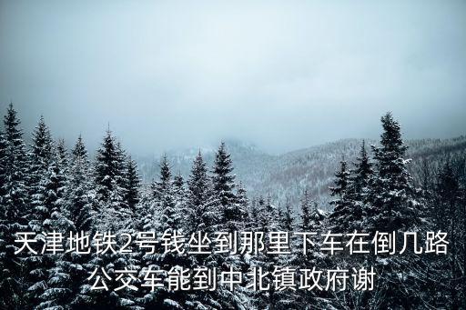 天津地鐵2號(hào)錢(qián)坐到那里下車(chē)在倒幾路公交車(chē)能到中北鎮(zhèn)政府謝
