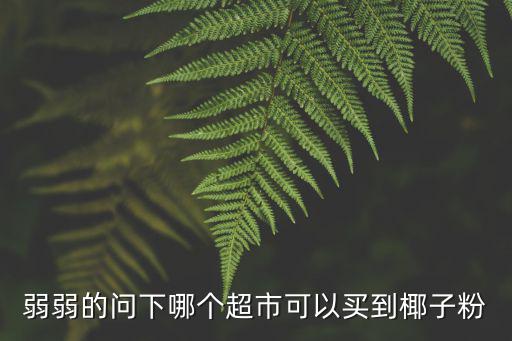 上海市哪里有椰子粉買啊，請(qǐng)問哪里有椰子粉賣急