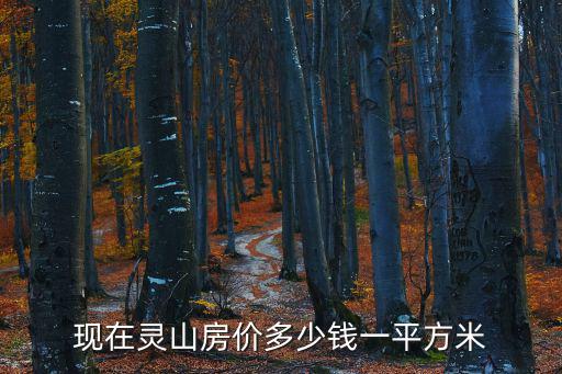 現(xiàn)在靈山房價多少錢一平方米