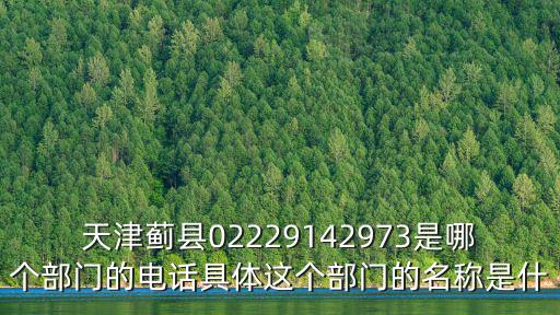 天津薊縣02229142973是哪個部門的電話具體這個部門的名稱是什