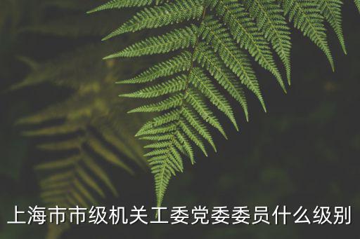 上海市市級(jí)機(jī)關(guān)工委黨委委員什么級(jí)別