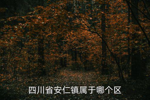 四川省安仁鎮(zhèn)屬于哪個(gè)區(qū)