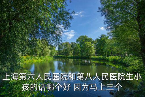 上海第六人民醫(yī)院和第八人民醫(yī)院生小孩的話哪個好 因為馬上三個